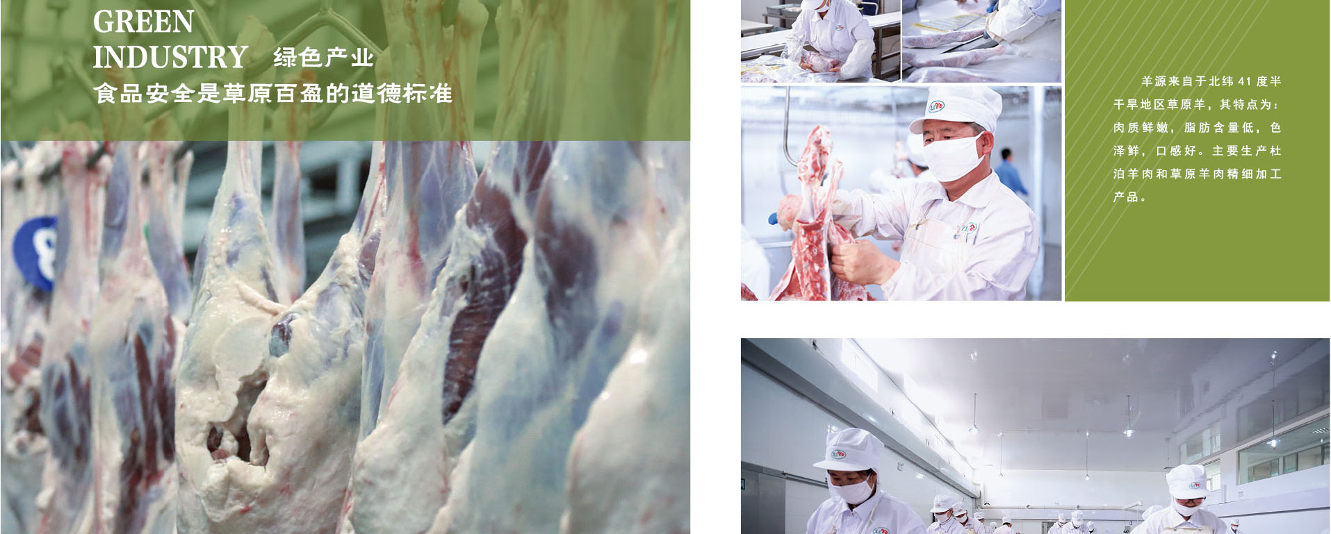 bob手机网页